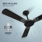 Havells Enticer Ceiling Fan blk1200