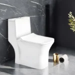 Modern bathroom with Cera Capaciti Closet