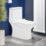 Cera One-Piece Closet Ceremony 5D in a minimalist bathroom