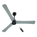 Atomberg Renesa Smart Fan