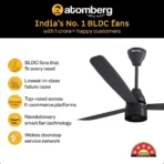 Atomberg BLDC Ceiling Fan with Remote Control Renesa Prime