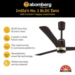 Atomberg Renesa Fan with Remote