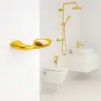 Aagna Rhyno Gold Finish Soap Dish
