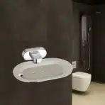 Aagna Giza Premium Silver Finish Soap Dish for Bathroom