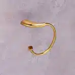 Aagna Rhyno Gold Napkin Ring