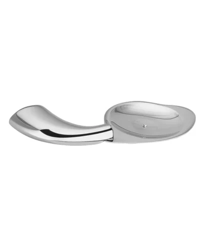 Aagna Rhyno Silver Finish Soap Dish
