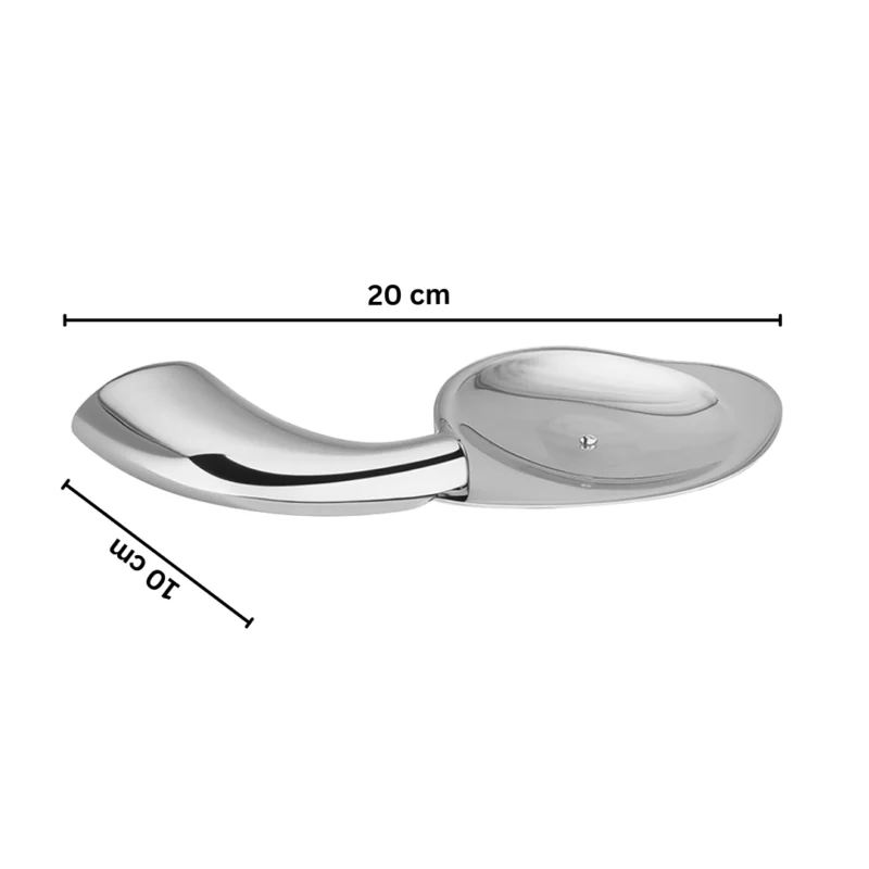 Aagna Rhyno Silver Finish Soap Dish