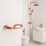Aagna Rhyno Elegant Rose Gold Finish Soap Dish