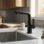 Carysil Kitchen Faucet Matte Black ALA01513 with Pull-Out Sprayer