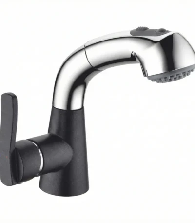 Carysil Kitchen Faucet Chrome & Nera ALA01507