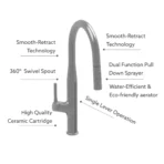CARYSIL ALA Chrome Kitchen Faucet with Pull-Out Sprayer