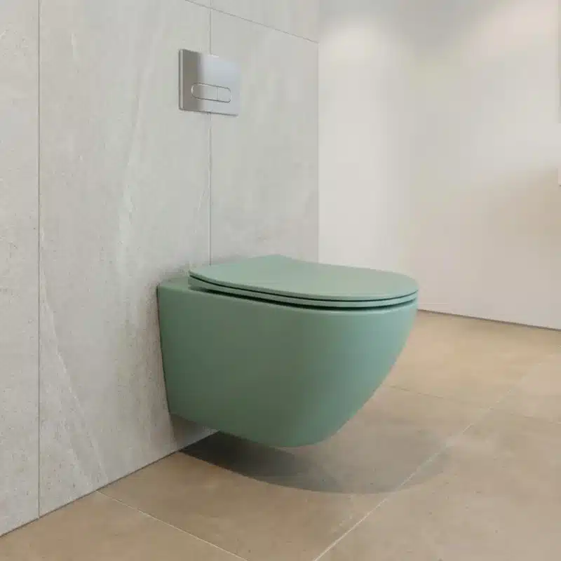 Brizzio Decorative Art Wall Hung Toilet and Basin Combo